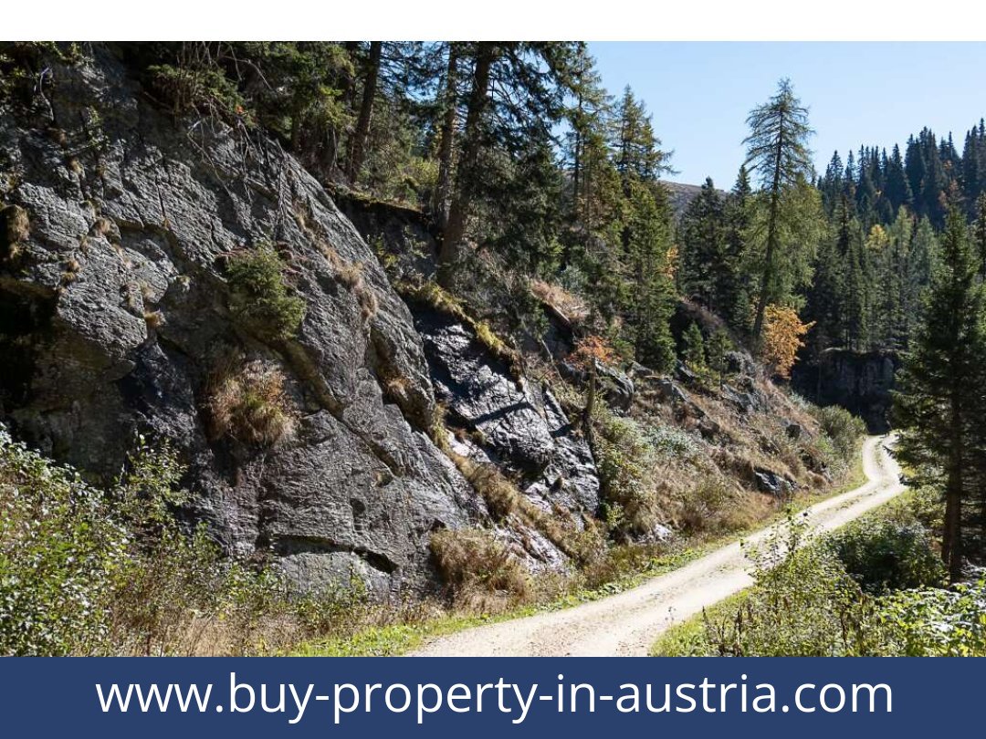 buy-property-in-austria-st. gertraud-9413-20251011121847-0034901019.jpg